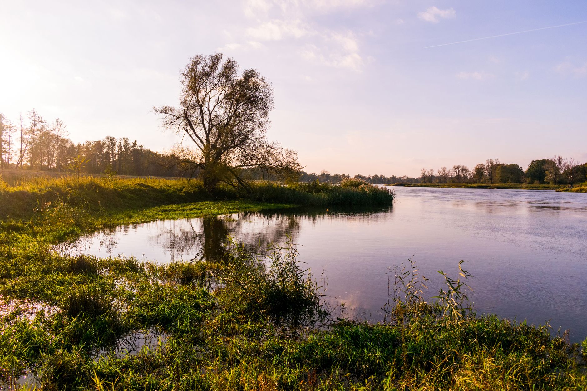 body of water and green plants under blue sky